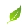 clean-plan-icon clean-plan-icon